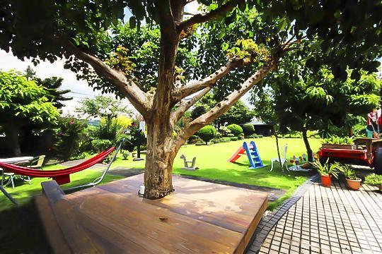 Taichung Xinshe Garden Life Homestay B&B Экстерьер фото