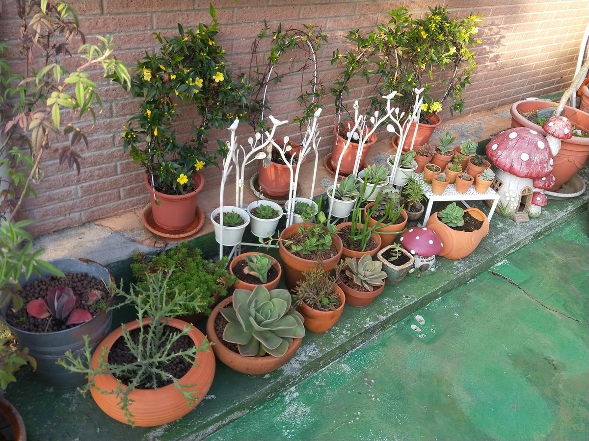 Taichung Xinshe Garden Life Homestay B&B Экстерьер фото