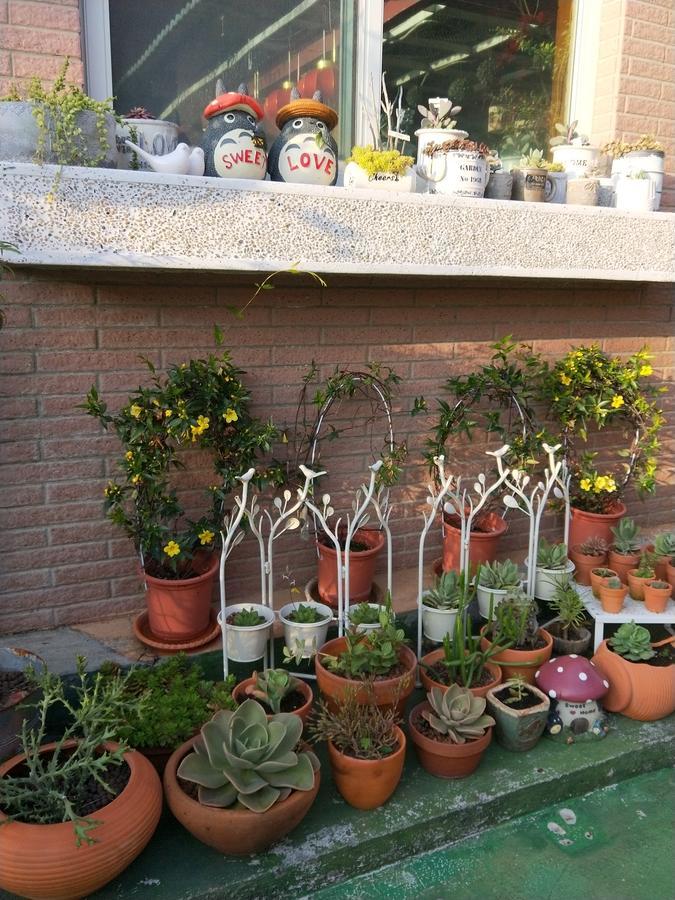 Taichung Xinshe Garden Life Homestay B&B Экстерьер фото